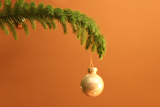 Christmas Bulb Christmas Bulb