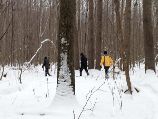 snowshoeing