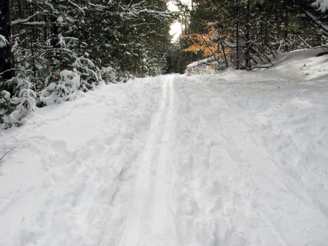 Skiing Skiing