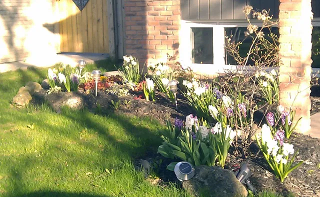 The Front Garden 2013 The Front Garden 2013