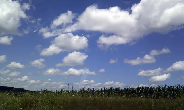 Lovely Summer Sky โ Iโll look at this in February Lovely Summer Sky โ Iโll look at this in February