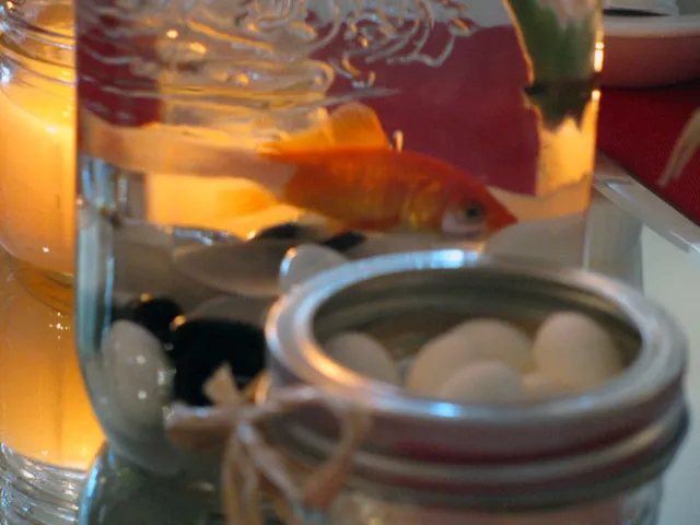 Poor Wedding Fish Poor Wedding Fish