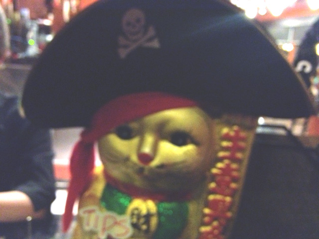 Yarrr! Gimme a tip. Meow. Yarrr! Gimme a tip. Meow.