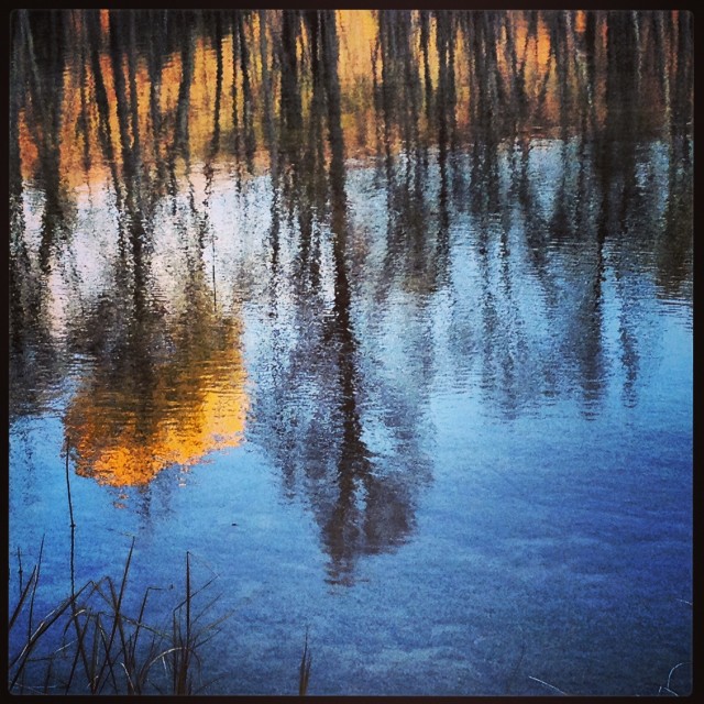 Lovely reflection on a pond. Mono Cliffs. Photo by bdot. Lovely reflection on a pond. Mono Cliffs. Photo by bdot.