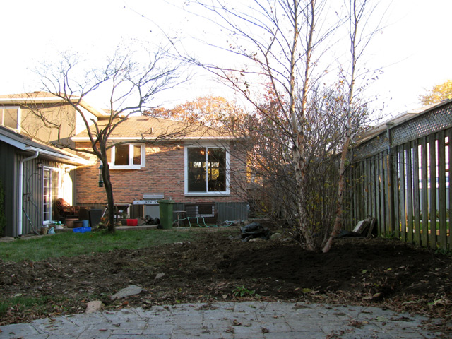 Three new trees Three new trees