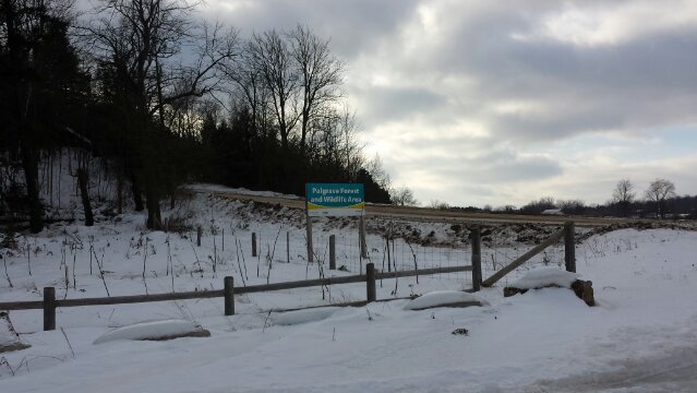 Palgrave's new entrance Palgrave's new entrance