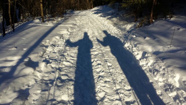 Ski shadows Ski shadows