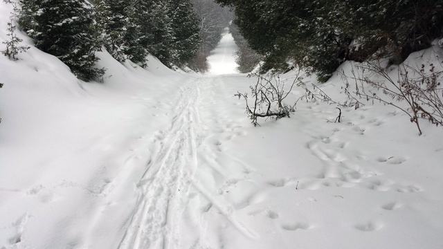 Lovely day to ski Lovely day to ski