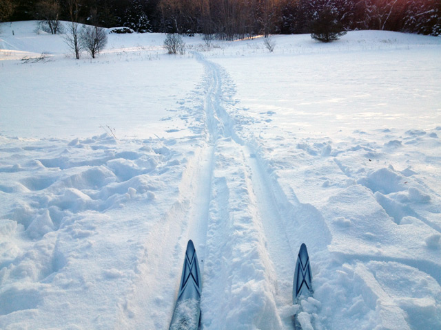 Palgrave skiing