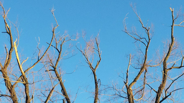 Blue skies Blue skies