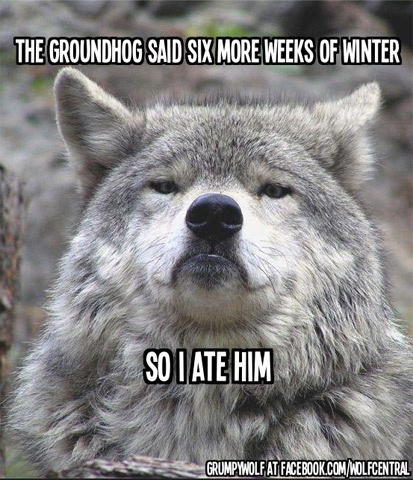 Exactly how I feel. (Image by Grumpywolf) Exactly how I feel. (Image by Grumpywolf)