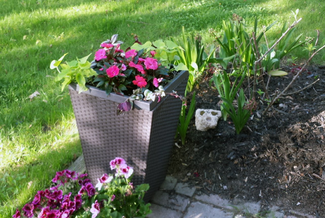 This year’s planters! This year’s planters!