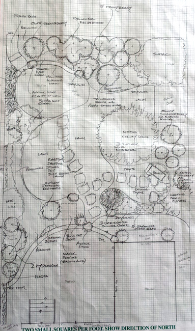 The plan. The plan.