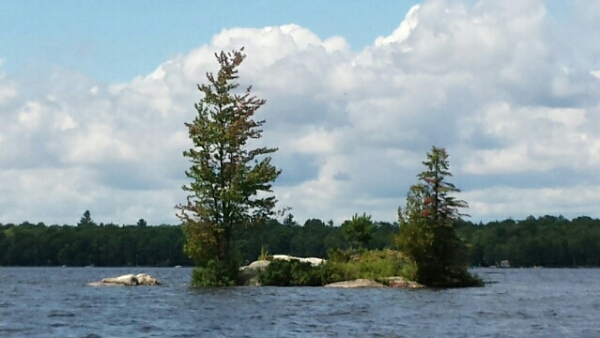 Islands in Jack Lake Islands in Jack Lake