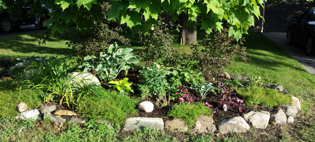 Updated Garden. Maybe not the best angle. Updated Garden. Maybe not the best angle.