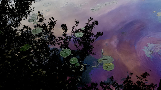 Oil rainbow reflections Oil rainbow reflections