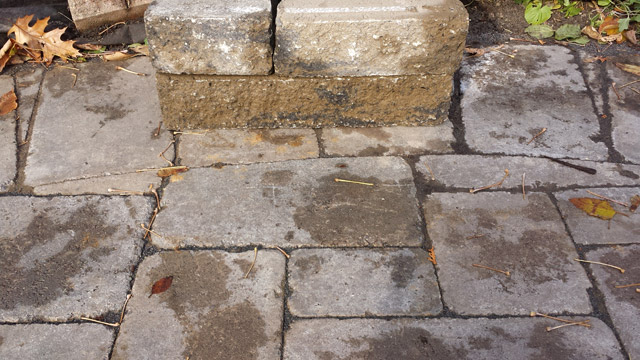 Contender for patio brick. The Celtik Wall โ Range Penfield Brown Contender for patio brick. The Celtik Wall โ Range Penfield Brown