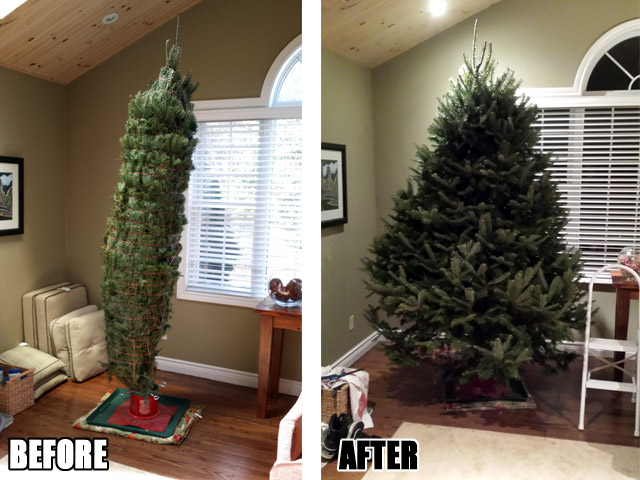 The tree was left unattended and cleaned out the fridge. See the after shot! *shakes head* The tree was left unattended and cleaned out the fridge. See the after shot! *shakes head*