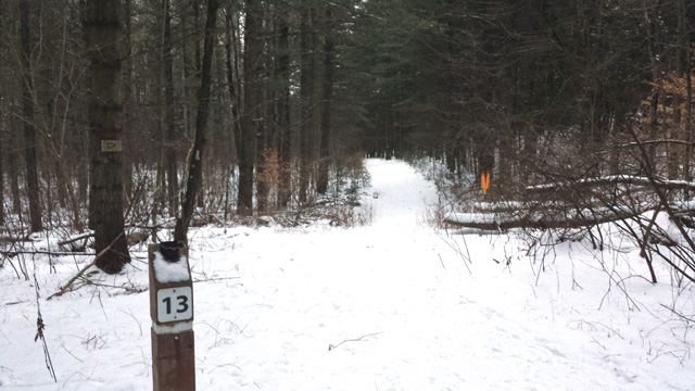 Marker 13. Palgrave Forest Marker 13. Palgrave Forest