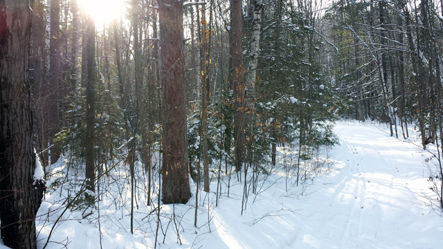 Lovely Winter in Ontario Lovely Winter in Ontario