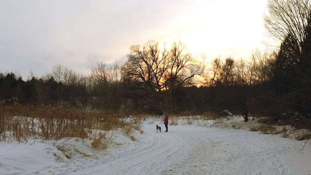 Humber River walk