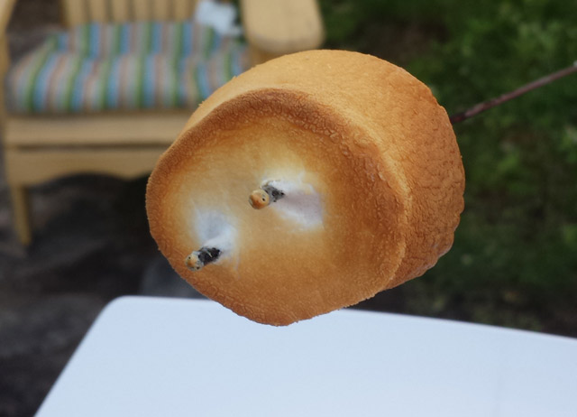 The Perfect Marshmellow? The Perfect Marshmellow?