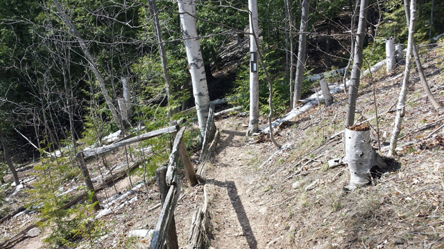 Oh joy. More switchbacks. Oh joy. More switchbacks.