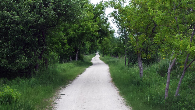 TransCanada Trail near Mount Pleasant Road TransCanada Trail near Mount Pleasant Road