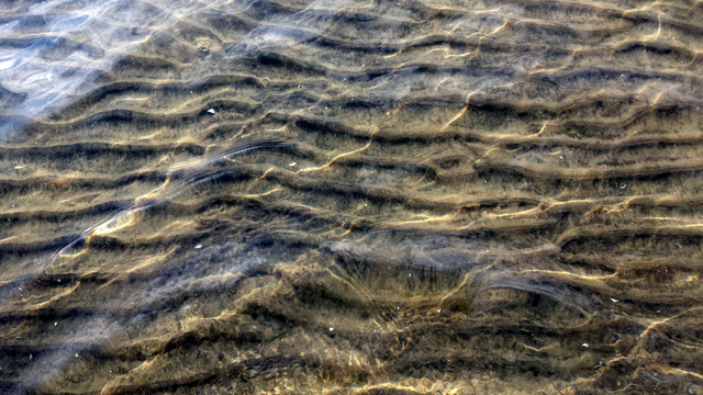 Patterns in the sand Patterns in the sand