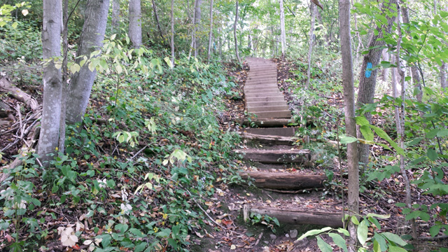 More stairs. More stairs.