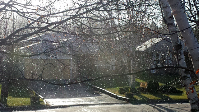 Not rain. Snow flakes on a sunny morning. Not rain. Snow flakes on a sunny morning.