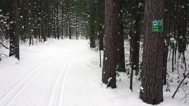 One of the trails at Wasaga Nordic Centre One of the trails at Wasaga Nordic Centre