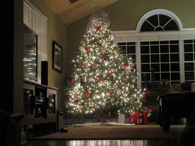 This year’s glorious tree This year’s glorious tree