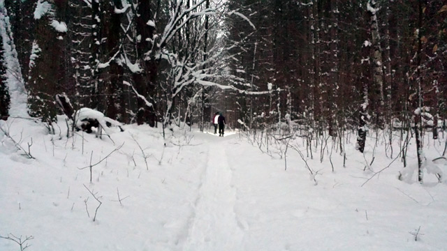 Finally some snow to play in… Finally some snow to play in…