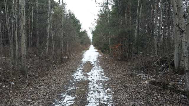 TransCanada Trail