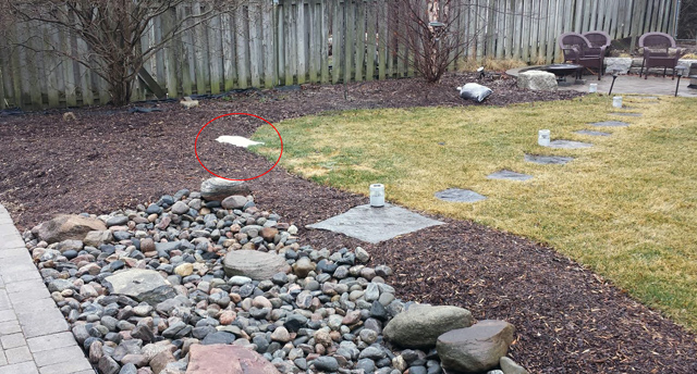 Highlighted: The last of the snowโฆ. Highlighted: The last of the snowโฆ.