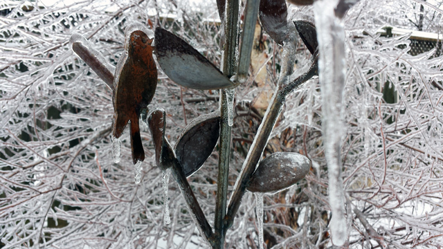 Ice everywhere Ice everywhere