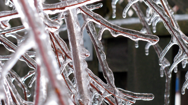 Icy. Icy.