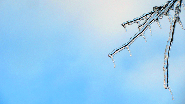 Icy tips. Icy tips.