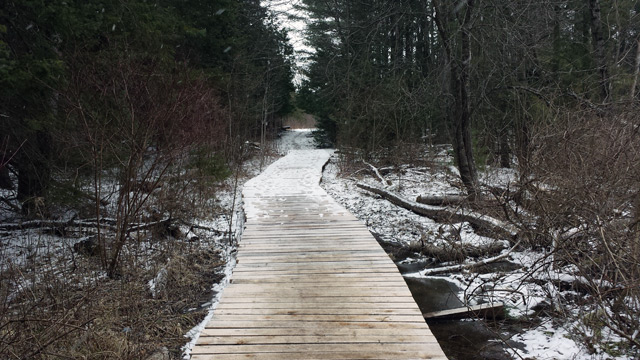 More snow? More snow?