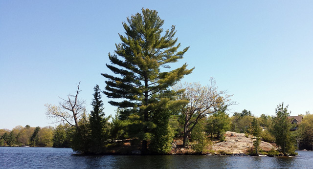 Muskoka.