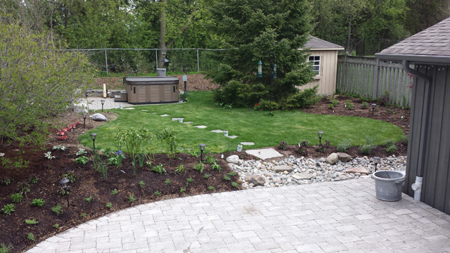 Backyard -after- the plantings Backyard -after- the plantings