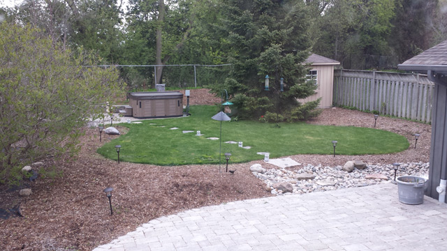Backyard before the plantings Backyard before the plantings