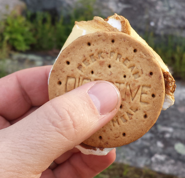 A great way to do Smores!