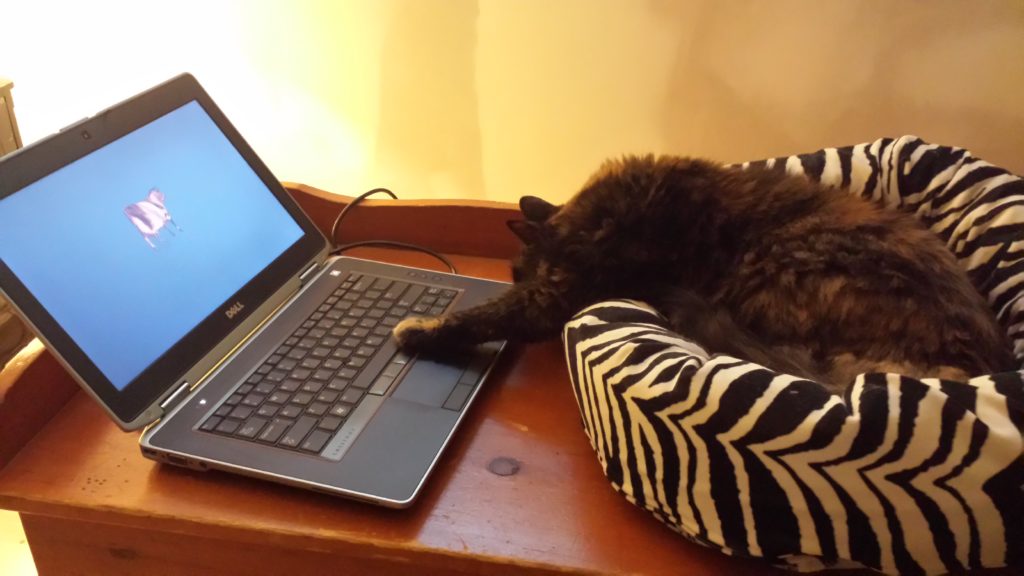 My new assistant My new assistant