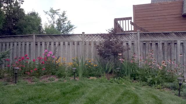 Flowers aplenty! Flowers aplenty!