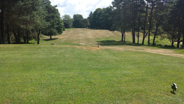 Golfing once again Golfing once again