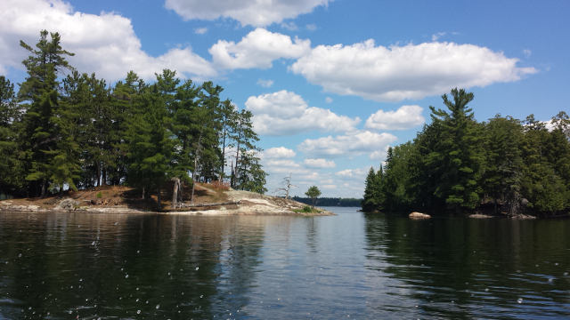 One of the many islands in Jake Lake One of the many islands in Jake Lake