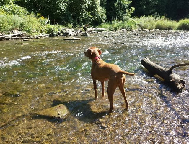 Tanga cooling off Tanga cooling off