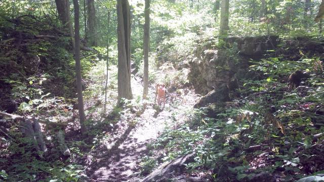 Pants on the trail. Pants on the trail.
